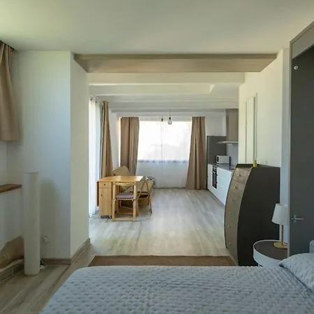 El Refugi De Cal Duc Apartment